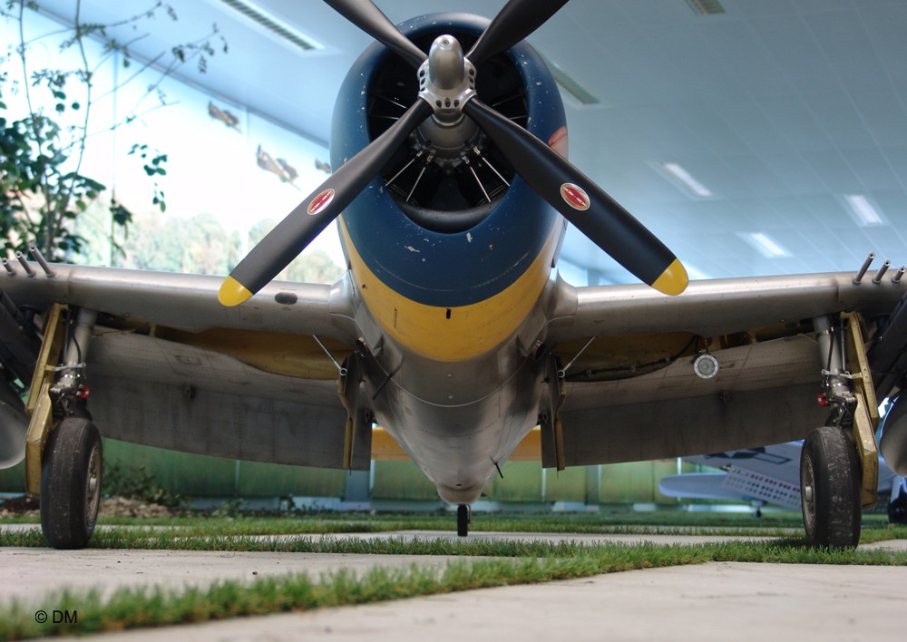 Modellbau Warbird P-47 Thunderbolt