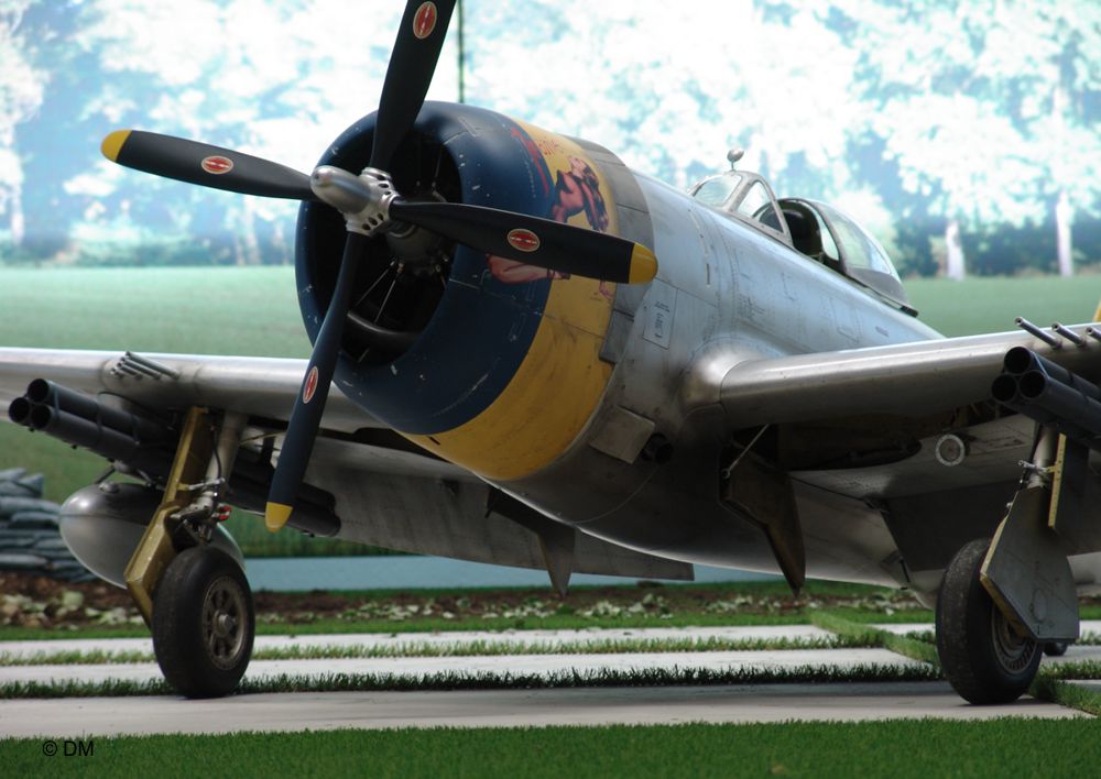 RC Flugzeugmodellbau P-47 Warbird Modellbauservice
